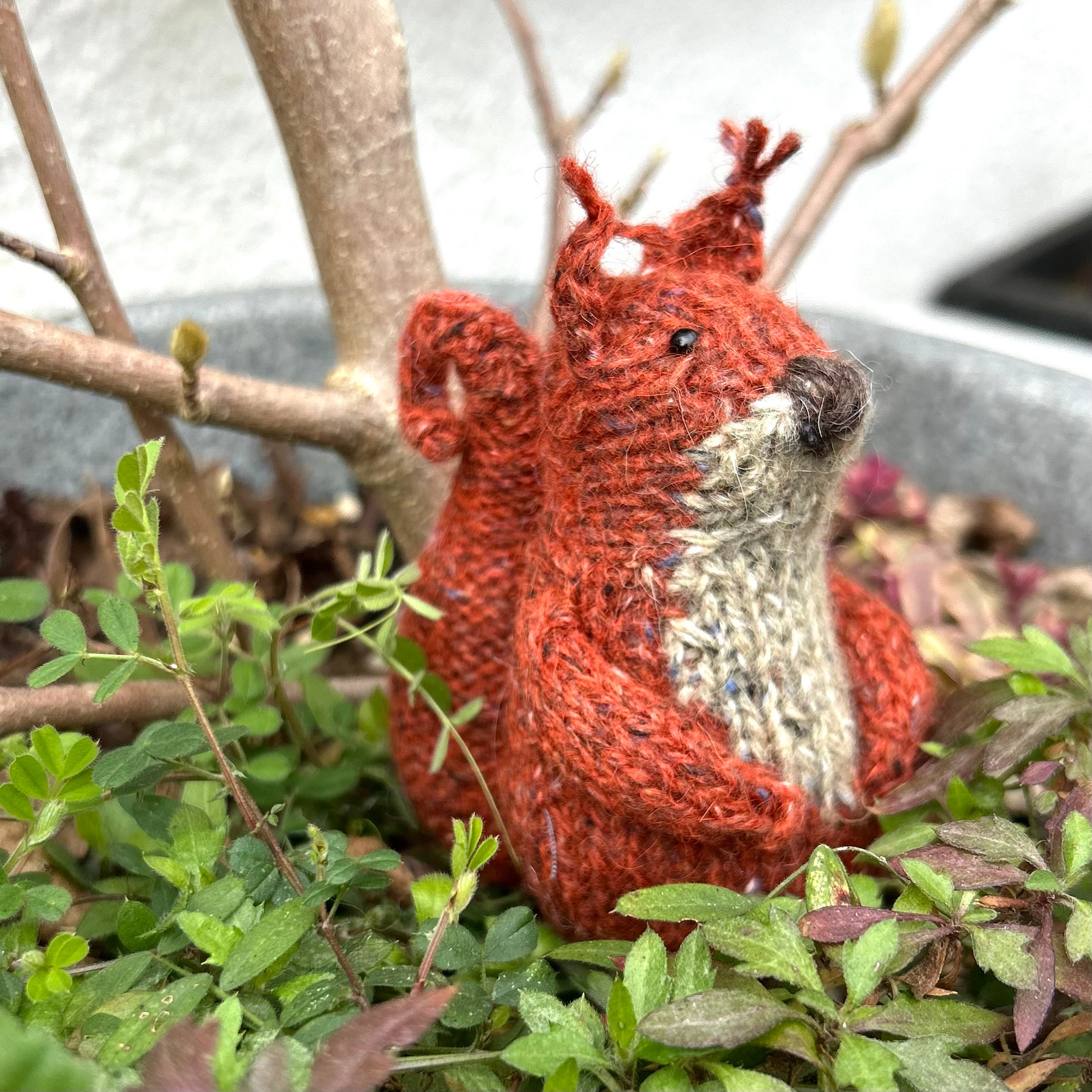 Squirrel Knitting Kit