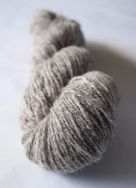 Daughter of a Shepherd 'Ram Jam Sport'